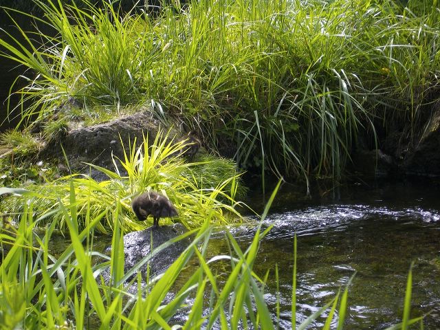 imgp1279.jpg
