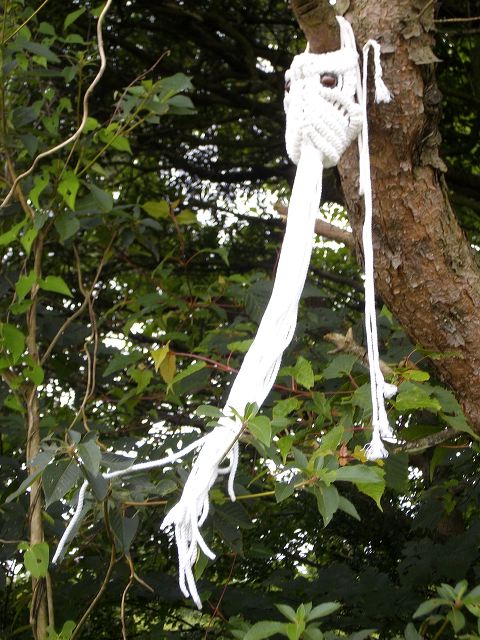 imgp1469.jpg