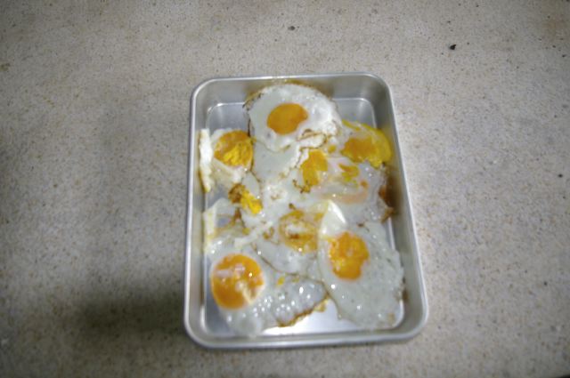 imgp9022.jpg
