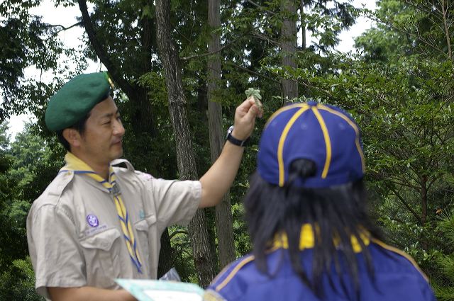 imgp9090.jpg