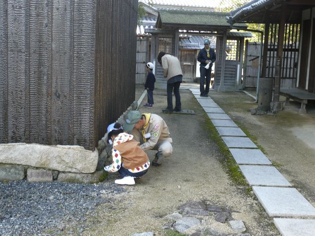 003.jpg