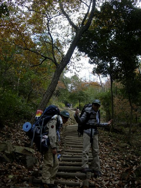 dscn8321.jpg