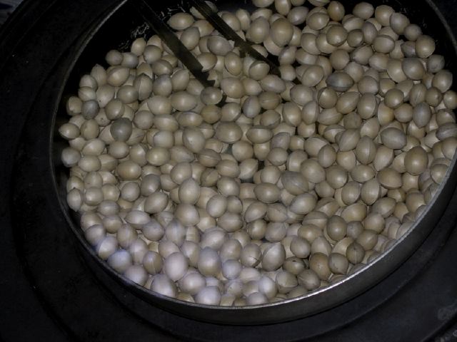dscn8379.jpg