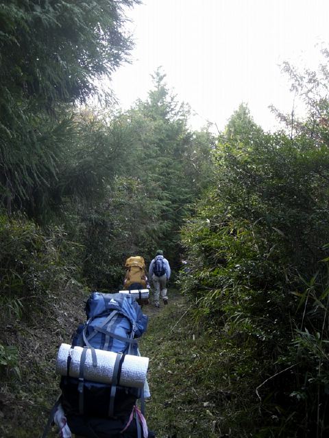 dscn8397.jpg