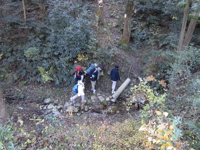 img_1110.jpg