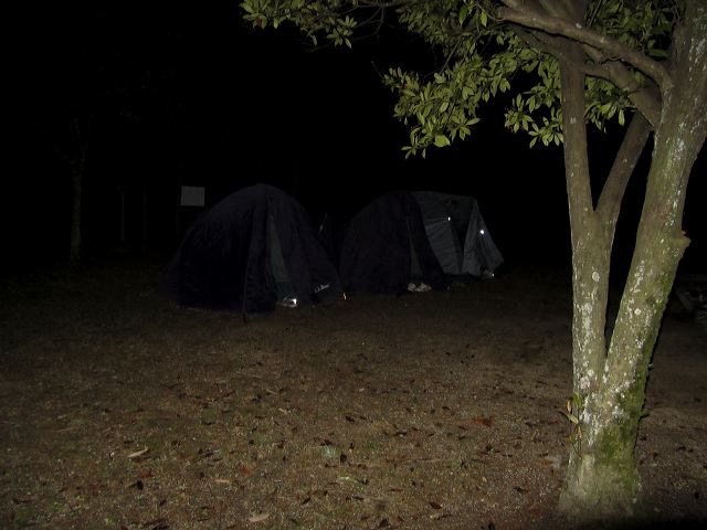img_1139.jpg
