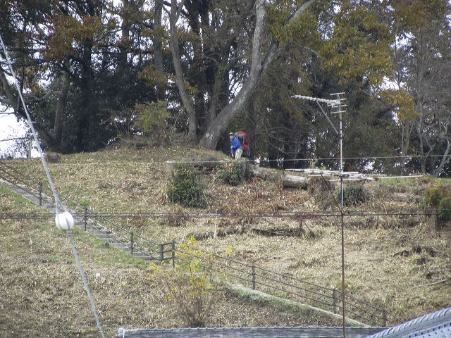 img_1174.jpg