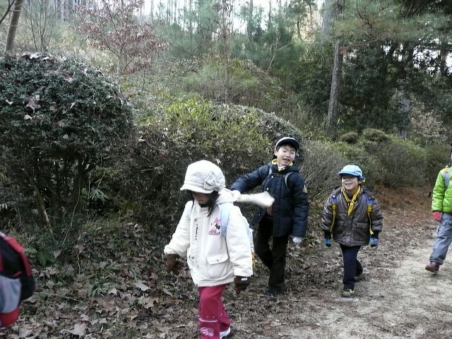 005.jpg