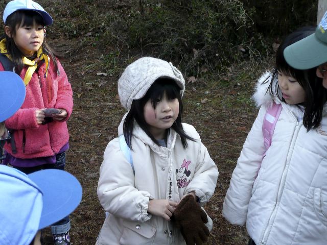 010.jpg
