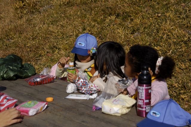 dsc_0101.jpg