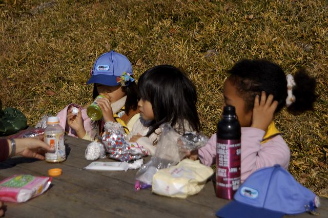 dsc_0102.jpg