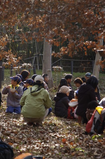 dsc_0186.jpg