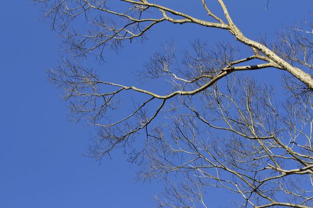 _mg_0371.jpg