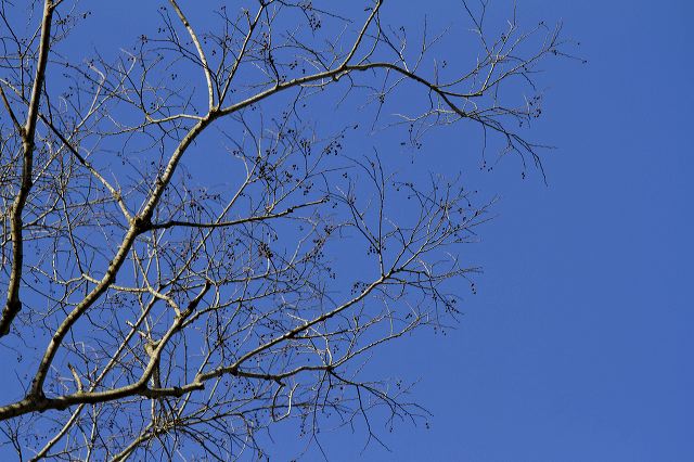 _mg_0373.jpg