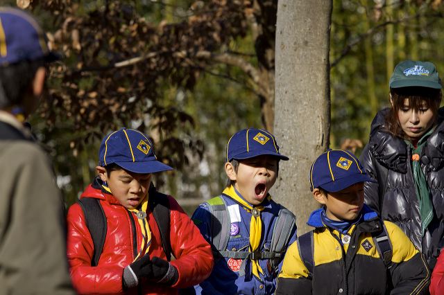 _mg_0375.jpg