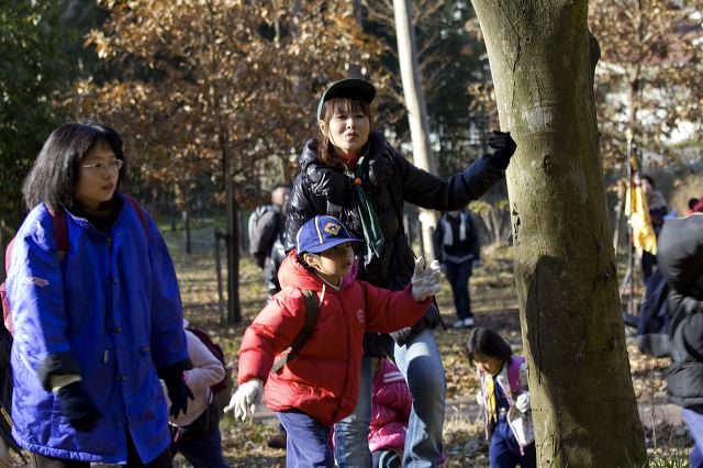 _mg_0379.jpg