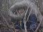dscn0457