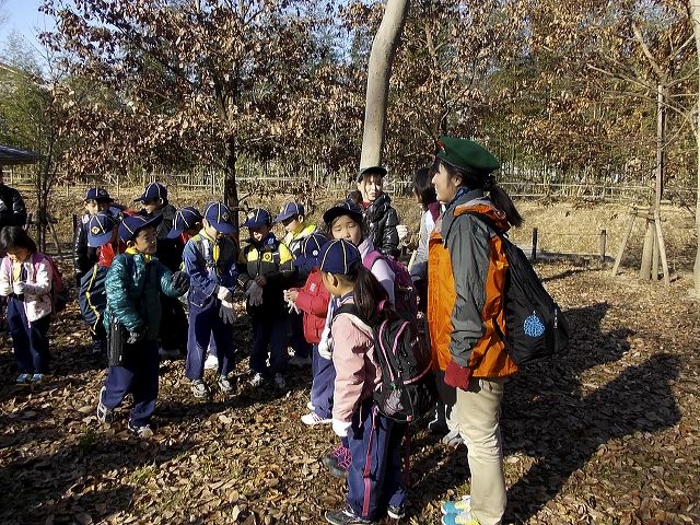 dscn0402.jpg