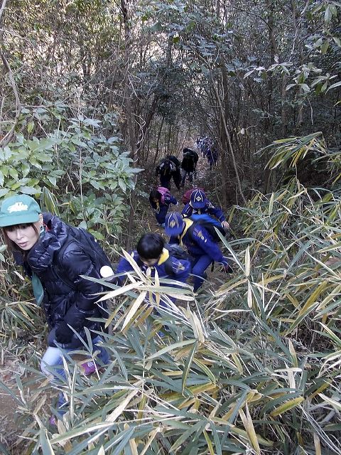 dscn0456.jpg