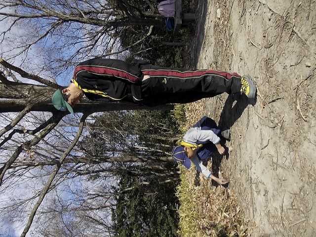 dscn0470.jpg