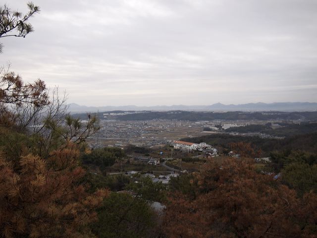 p1210891.jpg