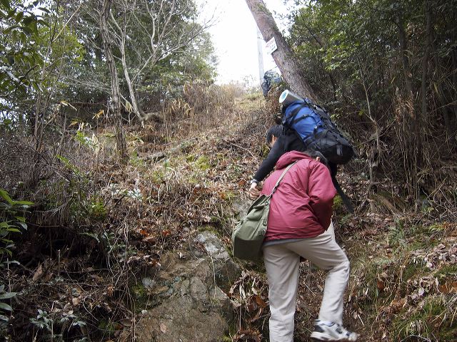 p1210917.jpg