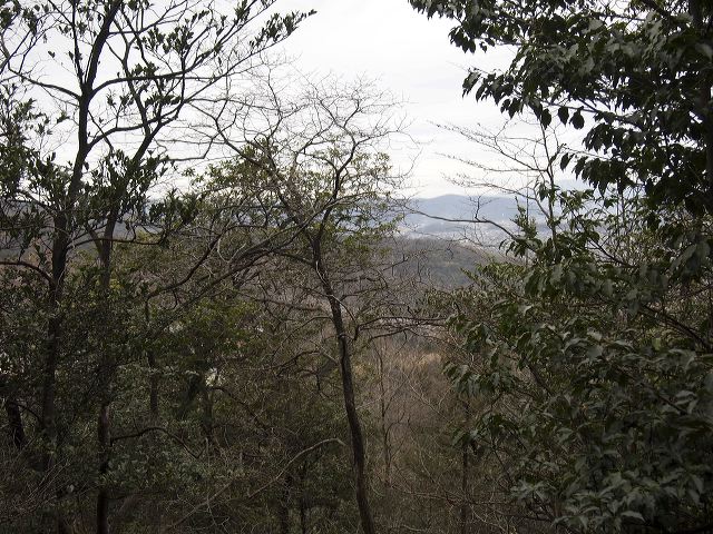 p1210921.jpg