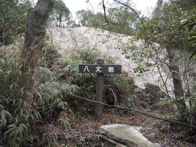 p1210922.jpg