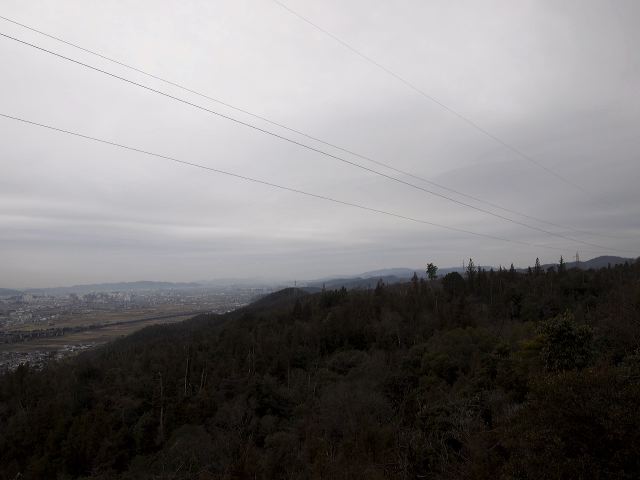 p1210962.jpg