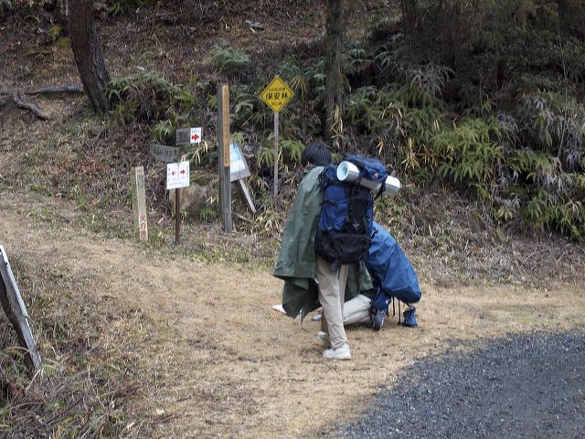 p1210967.jpg