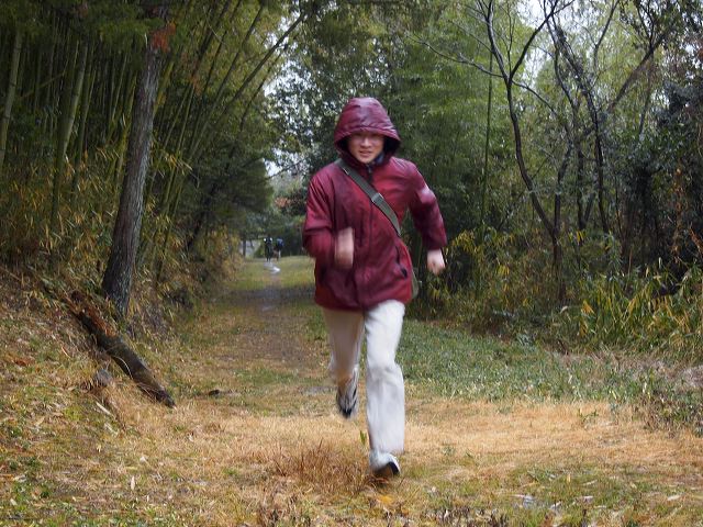 p1210974.jpg