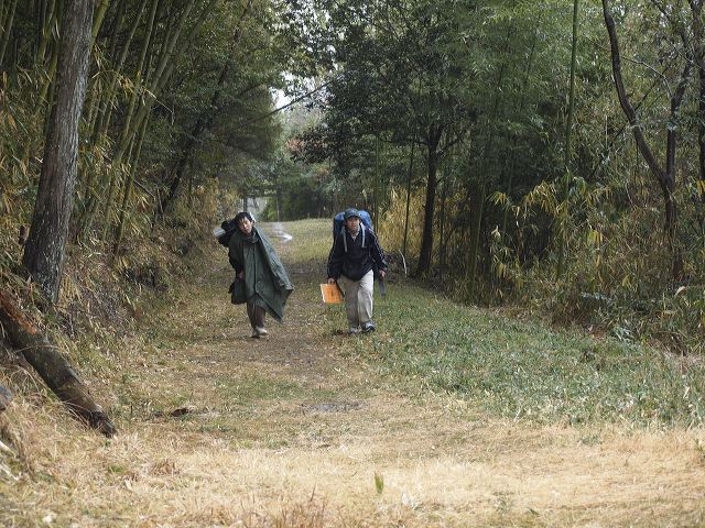 p1210975.jpg