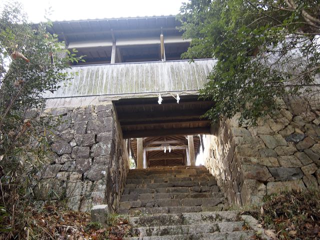 p1221009.jpg