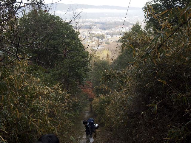 p1221017.jpg
