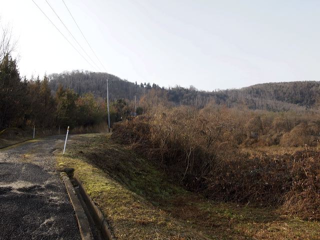 p1221022.jpg