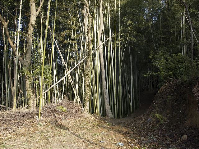 p1221025.jpg