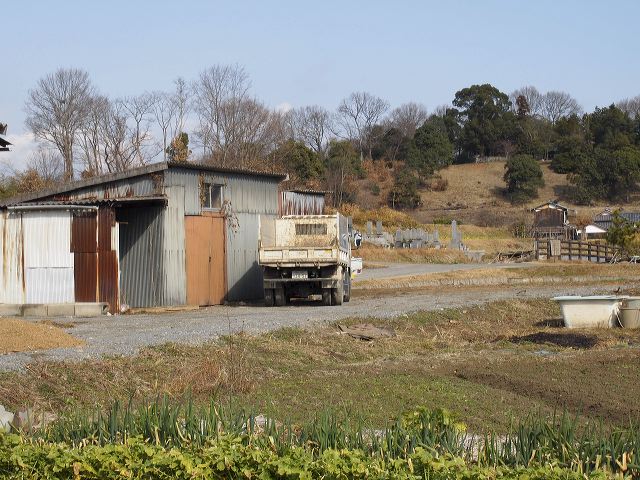 p1221058.jpg