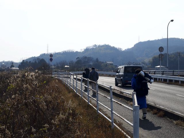 p1221075.jpg