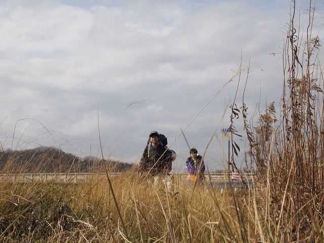 p1221077.jpg