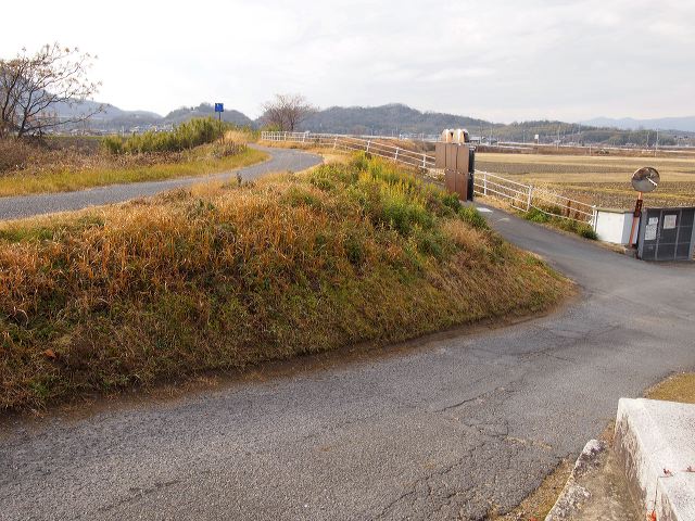 p1221084.jpg
