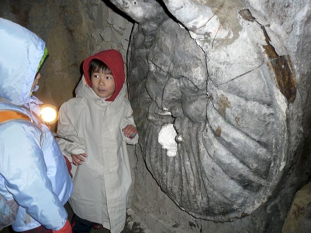 115.jpg