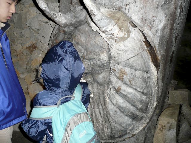 117.jpg