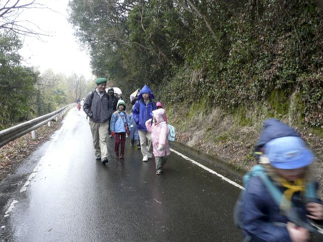 118.jpg