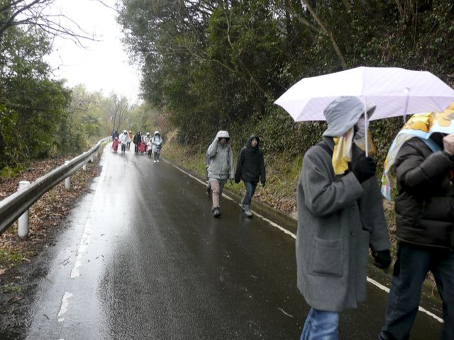 119.jpg
