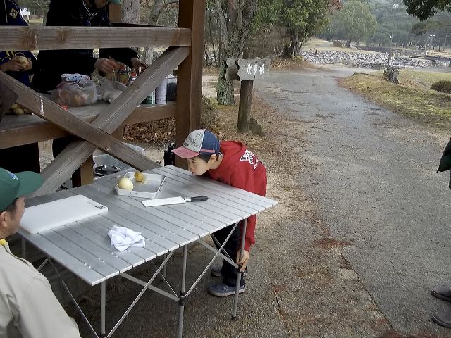 dscn0805.jpg