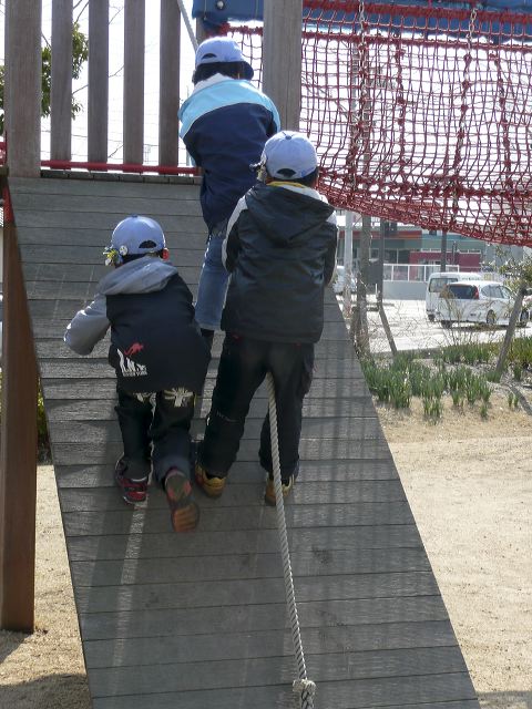 136.jpg