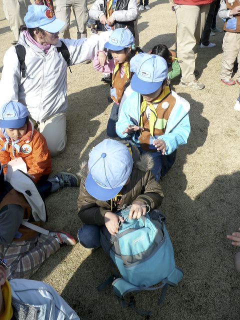 141.jpg