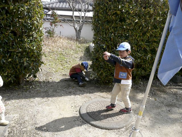 010.jpg