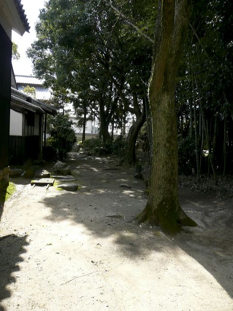 011.jpg
