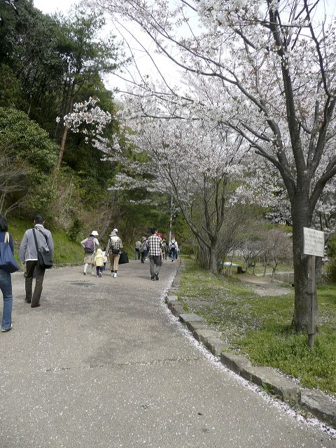 003.jpg